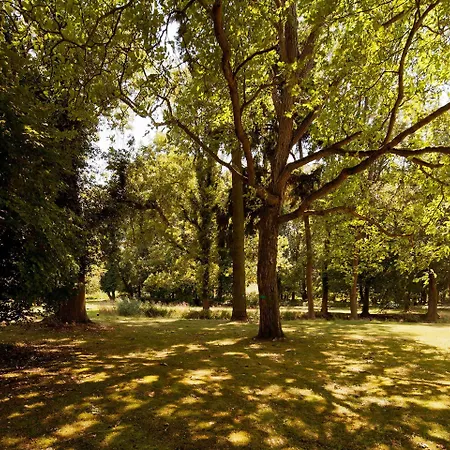 Ziethen Креммен