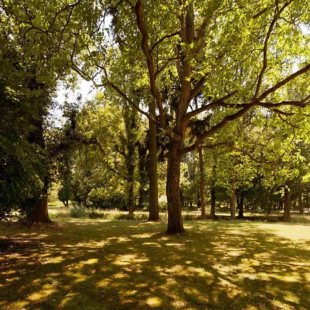 Ziethen Отель 4*